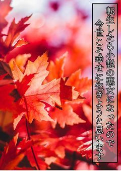 転生したら小説の悪女になったので今世こそ幸せに生きようと思います