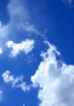 ただ愛されたくて
