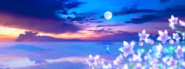 Tabovision official@フォロバ100%さんの壁紙画像