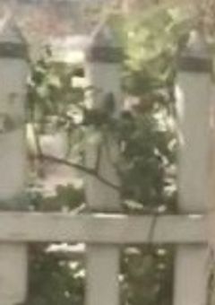 2 度 目 の はじめまして 【参加型】〆