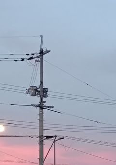 。