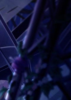 とあるセカイには奇病を持つ子達と奇病を治そうとする子達が居るらしい