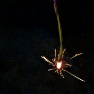 管理人Xさんのアイコン画像