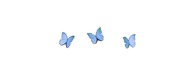 NAVI🦋.*˚ さんの壁紙画像