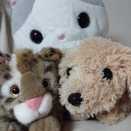 菜伊華。🍓👑紫の雲さんのアイコン画像