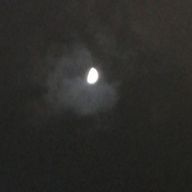 すいさんのアイコン画像