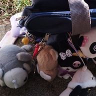 すいさんのアイコン画像