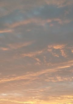 黒尾の妹は、不登校です