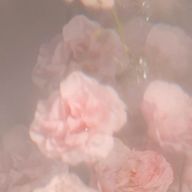 ただの花好きさんのアイコン画像