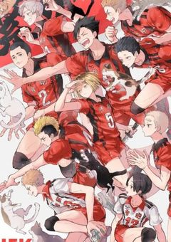 音駒の歌姫[ハイキュー!!]