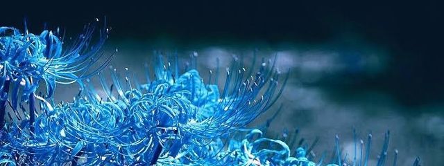 ゆかもさんの壁紙画像