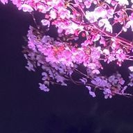 ユーザーページへ