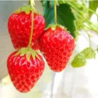 なっちゃんさんのアイコン画像