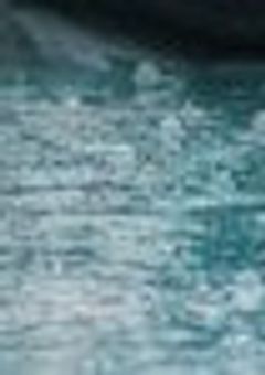 ボッチと不思議な出来事―３冊の本を読んだら神様に文句言います