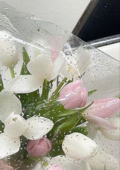 まこのえんじぇるがかわいすぎる件について , 