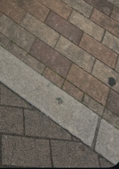 ２０２５　アニメ　イラスト