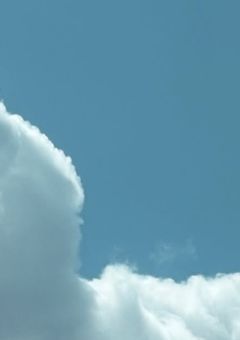 大嫌いな俺と儚いお前ら