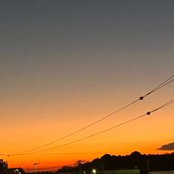 Aremuさんのアイコン画像