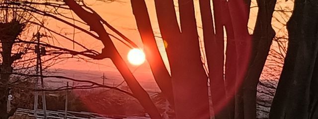 りんさんの壁紙画像