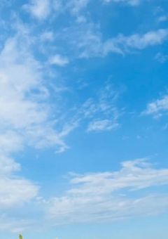 「 好き 」って言うまで