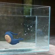 既婚者トーマスさんのアイコン画像