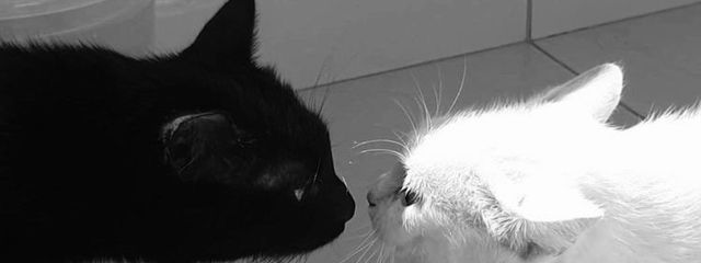 CANAANᥫᩣ🍒さんの壁紙画像