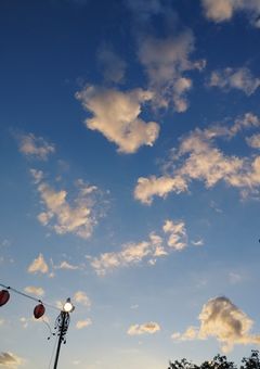 ☆日本の権力なお嬢様☆