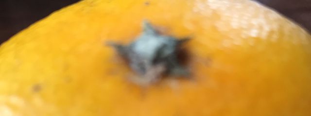 いろんな界隈が好きな人。さんの壁紙画像