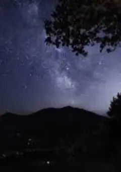 俺たちはバンパイアを許さない