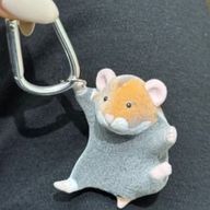 りゅがさんのアイコン画像