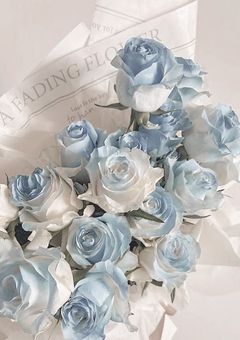 オンニちゃんのを見る部屋