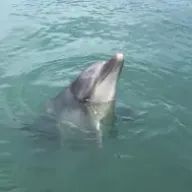 Ｙaiさんのアイコン画像