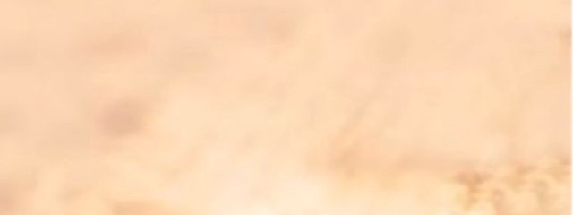 りりさんの壁紙画像