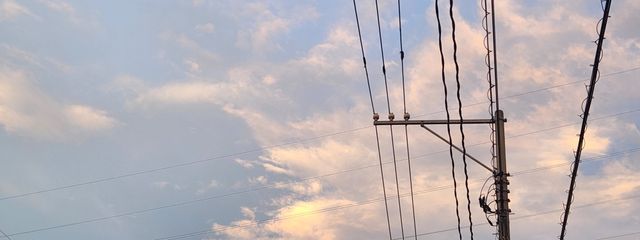 さびねこ。さんの壁紙画像