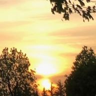 狐泊さんのアイコン画像