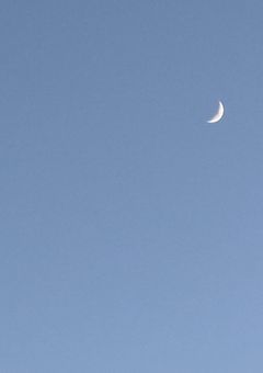 関係募集
