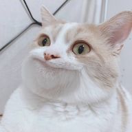 らっぱらさんのアイコン画像