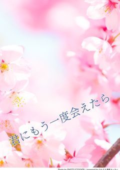 君に、もう一度出会えたなら