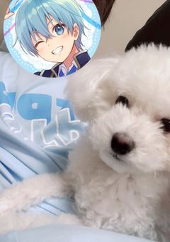 〜 苺 の 王 子 様 が 幸 せ な 人 生 に し て く れ た 〜