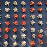 おはる@暫く低浮上さんのアイコン画像