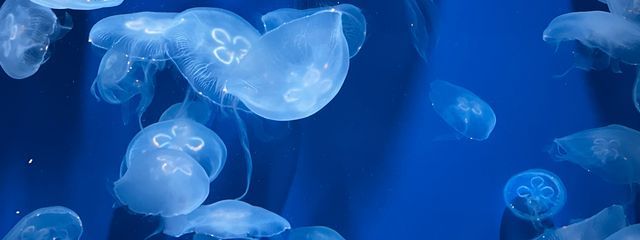 なぎさんの壁紙画像