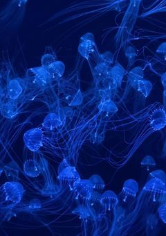 今日もまた愛に溺れて