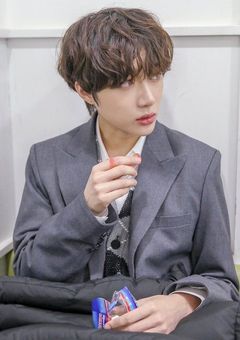 　　20 cm