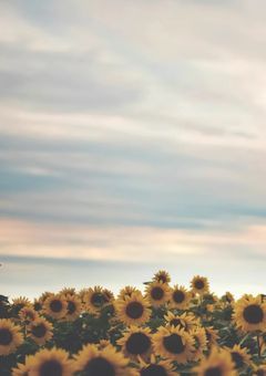 森下くんの恋愛事情