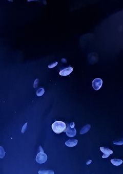 書きたいもの書くよ