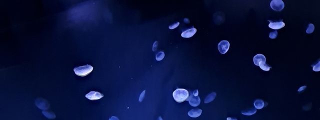 綾乃さんの壁紙画像