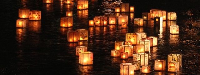 白羽の白夢(しろむ)さんの壁紙画像