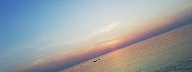 Raiさんの壁紙画像