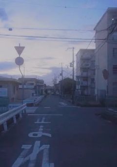 　狂犬　の　日記　。　