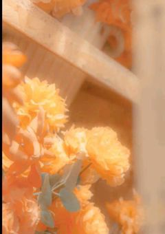 ❄🧡くん短編小説